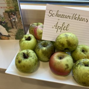 3AC57646-2741-4FA1-AEBC-01AA9281BCAD