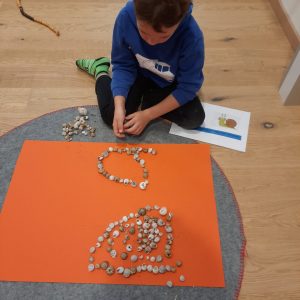 Ein bild aus 100 Schneckenhäuser