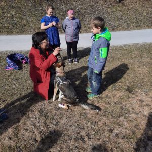 Wir lernen Muffin Kennen 2