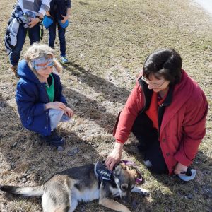 Wir lernen Muffin kennen 3