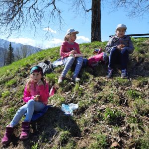 Jausnen in freier Natur 1