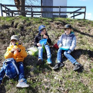 Jausnen in freier Natur 2