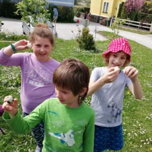 9bf2d068-770a-4e2c-9671-4c5e7a8bf3c0