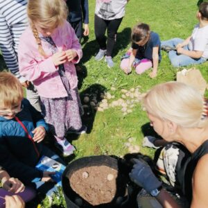 d0c667cb-4cb0-4bc5-ad0b-76e5df3703fd