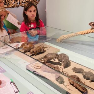 Wandertag 3.a (3) Wandertag 3.a (3)