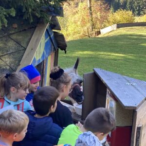 Wandertag4.a (3) Wandertag4.a (3)