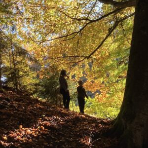 Wandertag4.a Wandertag4.a