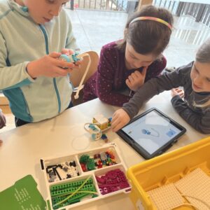 Groß (IMG_7766) Groß (IMG_7766)