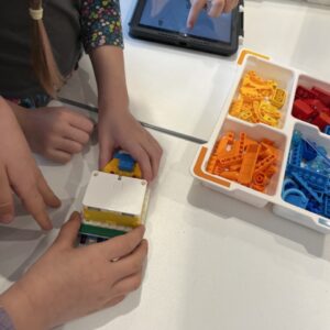 Groß (IMG_7769) Groß (IMG_7769)