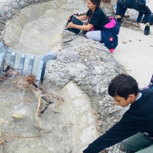 PHOTO-2023-06-05-14-21-23 PHOTO-2023-06-05-14-21-23