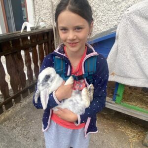 3ab5dc8e-3493-4614-914a-bfdf9bc699e6 3ab5dc8e-3493-4614-914a-bfdf9bc699e6