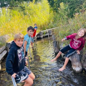 91647219-5245-4a69-8f0c-02ee9e9fdbb3