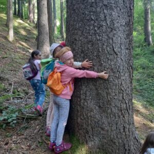 df45c81e-1178-43c1-8268-a50075489ce8