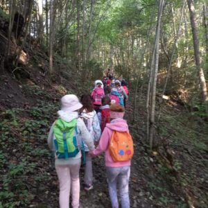 e569e5d4-276c-4e3e-96bf-2944282c73b6