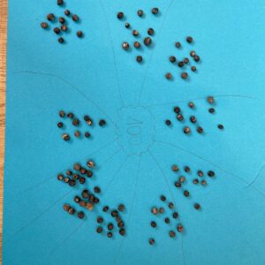 b64be30a-7a6b-4832-b5e9-970b5e9bf3d8