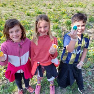 8a115afd-9263-499d-a029-a9cadddf219f