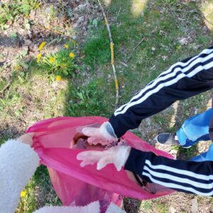 b9d0419c-4d4b-4e3e-942e-e9ebd1087bf0