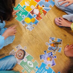 0e1319c5-52de-43b3-97f0-9fc4bc62cec3