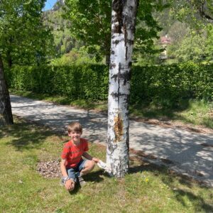 23fabdc2-81ce-48c5-9a9a-e7d1b490c1a1