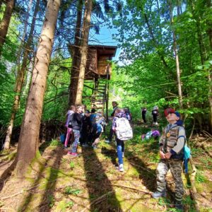 66f4ebdc-e469-4a26-8d31-9921d0a93129