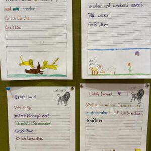 7dc51312-ae98-4fc4-81a1-570d9a01919c