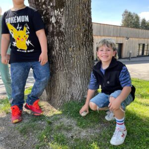 a51dc1f1-be99-4015-b263-4d62ea0eb41a