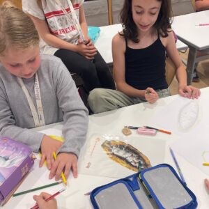 e5bde2ce-3473-4967-ae6f-46923244690b