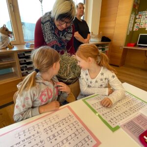 0e611b72-5564-4fc6-aed6-d14c45d51de5