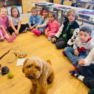 2d2a0546-3005-4fb2-b998-3c922fdbcd1b