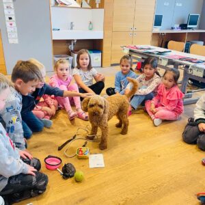 4ecec447-a23b-431f-a030-9c6e296c5225