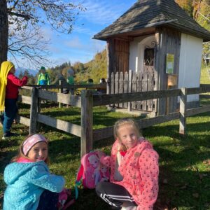 98d593f1-7db5-4e58-9ebc-d09cd88e613a