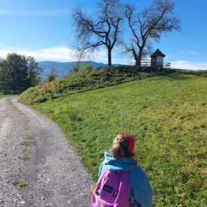 ab34bcab-de1e-4b75-9489-8c65d24f3083