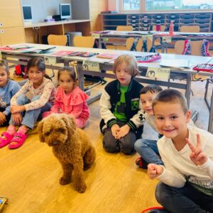 d1813ec8-aff1-44ed-9be5-e03e79fc02cb