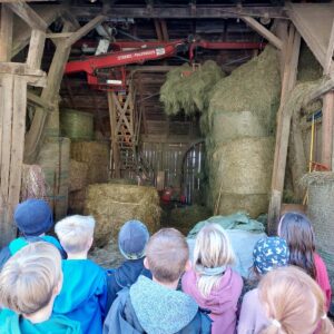 d1939d28-7c70-45ad-ae31-565aec1ec998