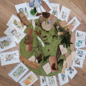 0109e3f8-2788-454e-a9fa-e90c861a42e9