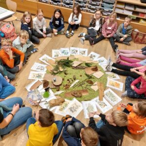 45571728-1bd0-43f3-92cd-d6d42cd52482