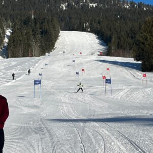 0d2cac9d-d1c0-4f74-bd4e-3f9c1c9338cf