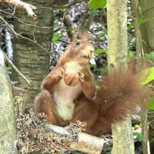 PHOTO-2025-05-12-16-55-59 4