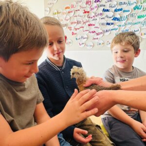 PHOTO-2025-11-06-12-21-02 4