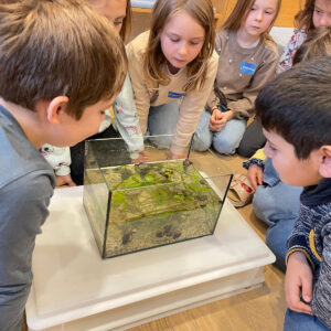 PHOTO-2025-11-20-16-03-47