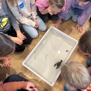 PHOTO-2025-11-20-16-04-12