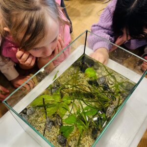 PHOTO-2025-11-20-16-04-50