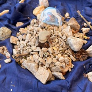 PHOTO-2026-01-27-07-53-11 6